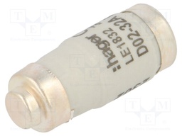 Fuse: fuse; gG,time-lag; 32A; 400VAC; 250VDC; D02