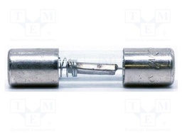 Fuse: fuse; time-lag; 600mA; 6.3x32mm