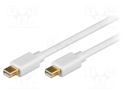 Cable; DisplayPort 1.2; mini DisplayPort plug,both sides; 3m