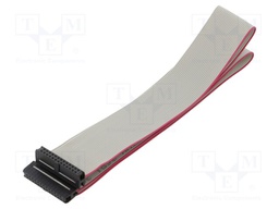 Ribbon cable with IDC connectors; 26x28AWG; Cable ph: 1mm; 0.6m
