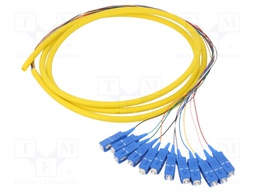 Optic fiber pigtail; SC/UPC,fiber; 2m; Input: fiber x12