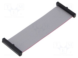 Ribbon cable with IDC connectors; Tape ph: 0.64mm; 88.9mm