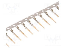 FKCP03401A