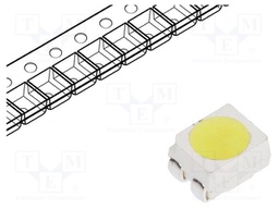 LED; SMD; 3528,PLCC4; white cold; 3000÷4000mcd; 10000(typ)K; 120°