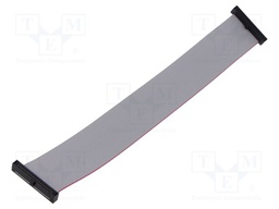 Ribbon cable with IDC connectors; Tape ph: 0.64mm; 177.8mm