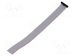 Ribbon cable with IDC connectors; Tape ph: 0.64mm; 177.8mm