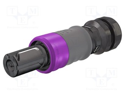 Connector: AC supply; screw terminal (AxiClamp); female; 16BL