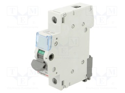 Switch-disconnector; Poles: 1; DIN; 63A; 250VAC; FR300; IP20