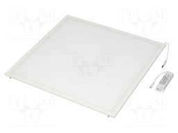 Lamp: LED light panel; PANEL VALUE 600; 4000(typ)K; IP20; 40W