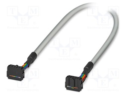 Ribbon cable with IDC connectors; Contacts ph: 2.54mm; 6m; 26AWG