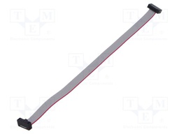 Ribbon cable with IDC connectors; Tape ph: 0.64mm; 152.4mm