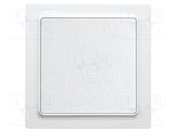 Wireless push button; EnOcean; 30m; Ch: 2; intelligent house