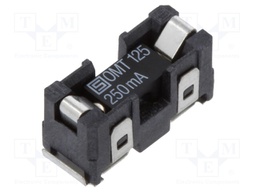 Fuse: fuse; time-lag; 250mA; 125VAC; 125VDC; SMD; ceramic; OMZ 125