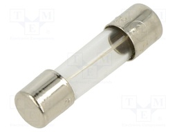 Fuse: fuse; time-lag; 100mA; 250VAC; cylindrical,glass; 5x20mm