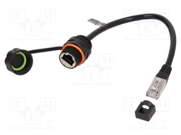 Extender Ethernet; U/FTP; Cat: 6a; RJ45 socket,RJ45 plug; 0.25m