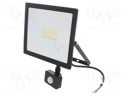 Lamp: LED flood light; 4000(typ)K; IP44; Body: black; 50W; 230VAC