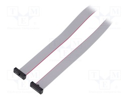 Ribbon cable with IDC connectors; Tape ph: 0.64mm; 609.6mm