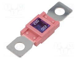 Fuse: fuse; 250A; 32VDC; automotive; 68mm; M8 screw; 68x18.3mm