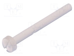 Screw; M2x20; 0.4; Head: cheese head; slotted; 0,6mm; polyamide