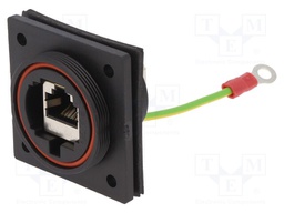 Coupler; Buccaneer Ethernet; PIN: 8; Contacts: phosphor bronze