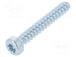 Screw; 3x20; Head: cheese head; Torx®; steel; zinc; Size: TX10