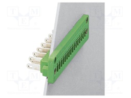 Pluggable terminal block; 3.81mm; ways: 10; straight; socket; male
