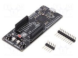 Dev.kit: Microchip PIC; Family: PIC32; Comp: PIC32MZ1024EFH064