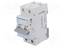 Circuit breaker; 230/400VAC; Inom: 10A; Poles: 2; DIN; Charact: C