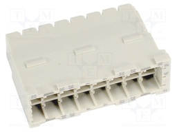 DIN-Power FM21+24FCS-4,5C1-1