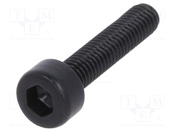 Screw; M3x14; 0.5; Head: cheese head; imbus; HEX 2,5mm; steel