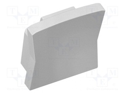Cap for LED profiles; silver; 10pcs.