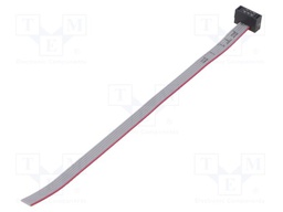 Ribbon cable with IDC connectors; Tape ph: 0.64mm; 101.6mm