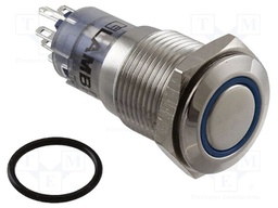 Switch: vandal resistant; Pos: 2; DPDT; 2A/48VDC; IP67; ON-(ON)