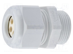Cable gland