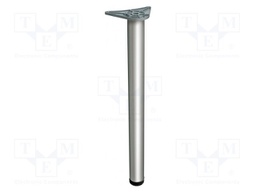 Foot