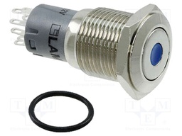 Switch: vandal resistant; Pos: 2; DPDT; 2A/48VDC; IP40; ON-(ON)