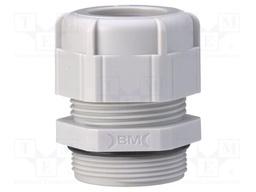 Cable gland; PG48; IP68; Mat: polyamide; light grey