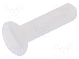 Screw; M3x12; 0.5; Head: countersunk; slotted; 1mm; polyamide