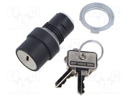 Switch: rotary with key; 22mm; Stabl.pos: 2; none; IP65; prominent