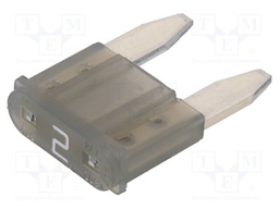 Fuse: fuse; 2A; 58VDC; automotive; 10.9mm; Mini