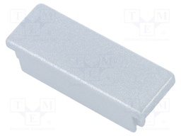 Cap for LED profiles; silver; ABS; Application: WIDE24