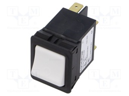 Circuit breaker; Urated: 240VAC; 60VDC; 4A; DPST; Poles: 2; SNAP-IN