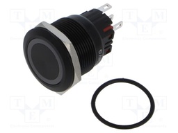 Switch: vandal resistant; Pos: 2; SPDT; 5A/250VAC; IP65; ON-(ON)