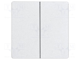 Cover plate; intelligent house,buttons and switches; double