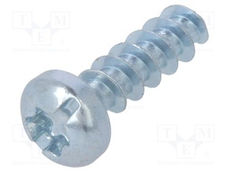 Screw; for plastic; 3x10; Head: cheese head; Torx®,slotted; steel