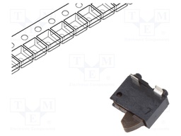 Switch: detecting; Pos: 2; SPST; 0.01A/5VDC; 50000cycles; 500mΩ