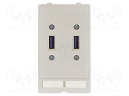 Data module (2x USB)