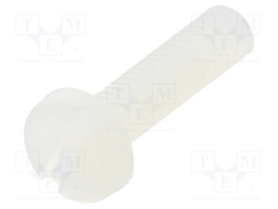 Screw; M3x12; 0.5; Head: cheese head; slotted; 0,9mm; polyamide