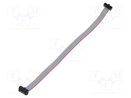 Ribbon cable with IDC connectors; Tape ph: 0.64mm; 152.65mm