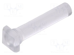 Fiber for LED; 5.8x5.8mm; L: 21.75mm; square; Front: flat; straight